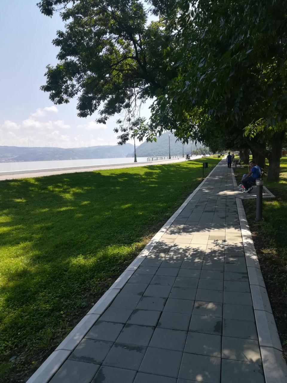 Apartman Bogic Golubac Buitenkant foto