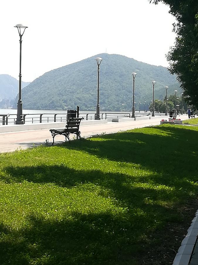 Apartman Bogic Golubac Buitenkant foto