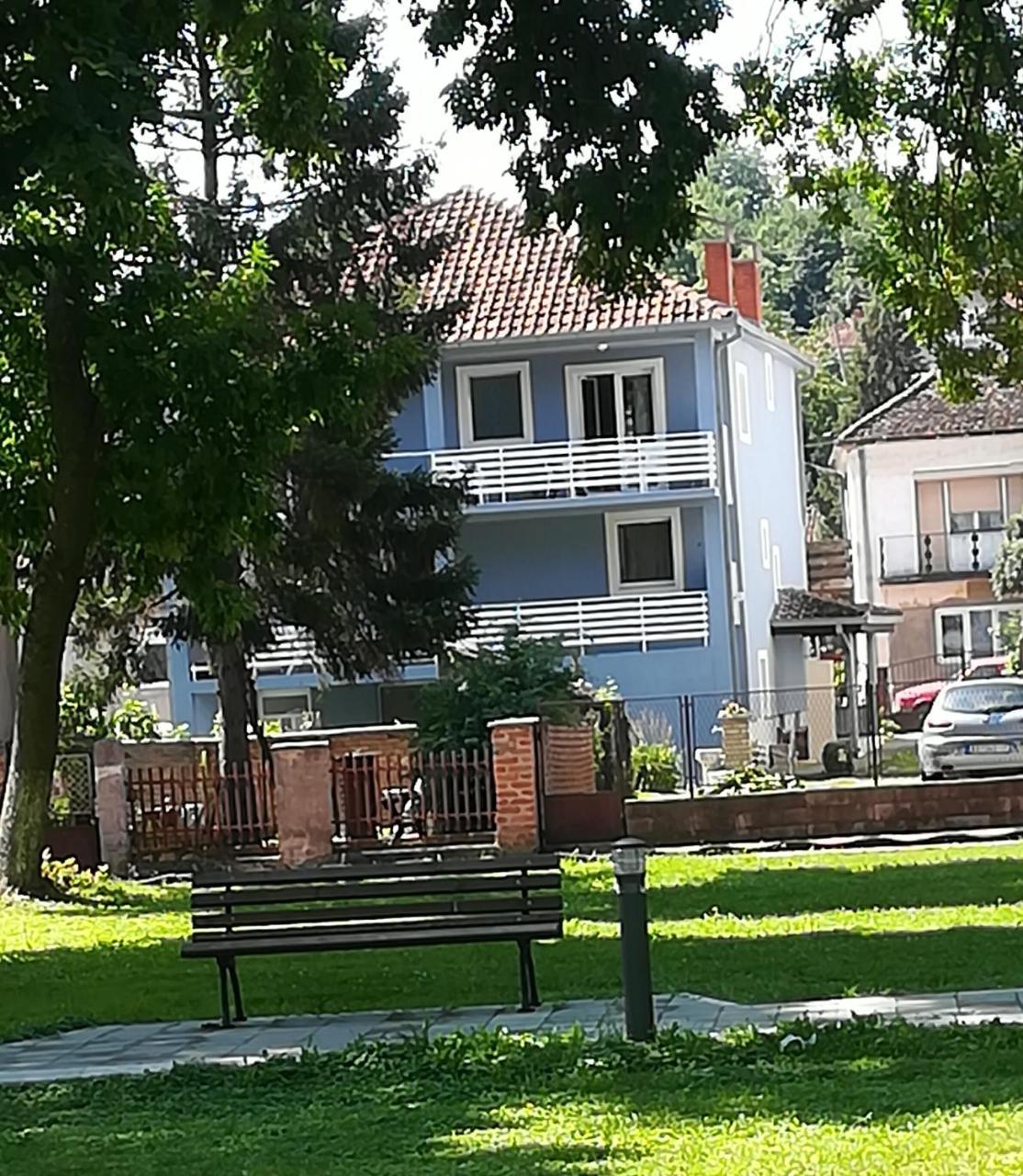 Apartman Bogic Golubac Buitenkant foto
