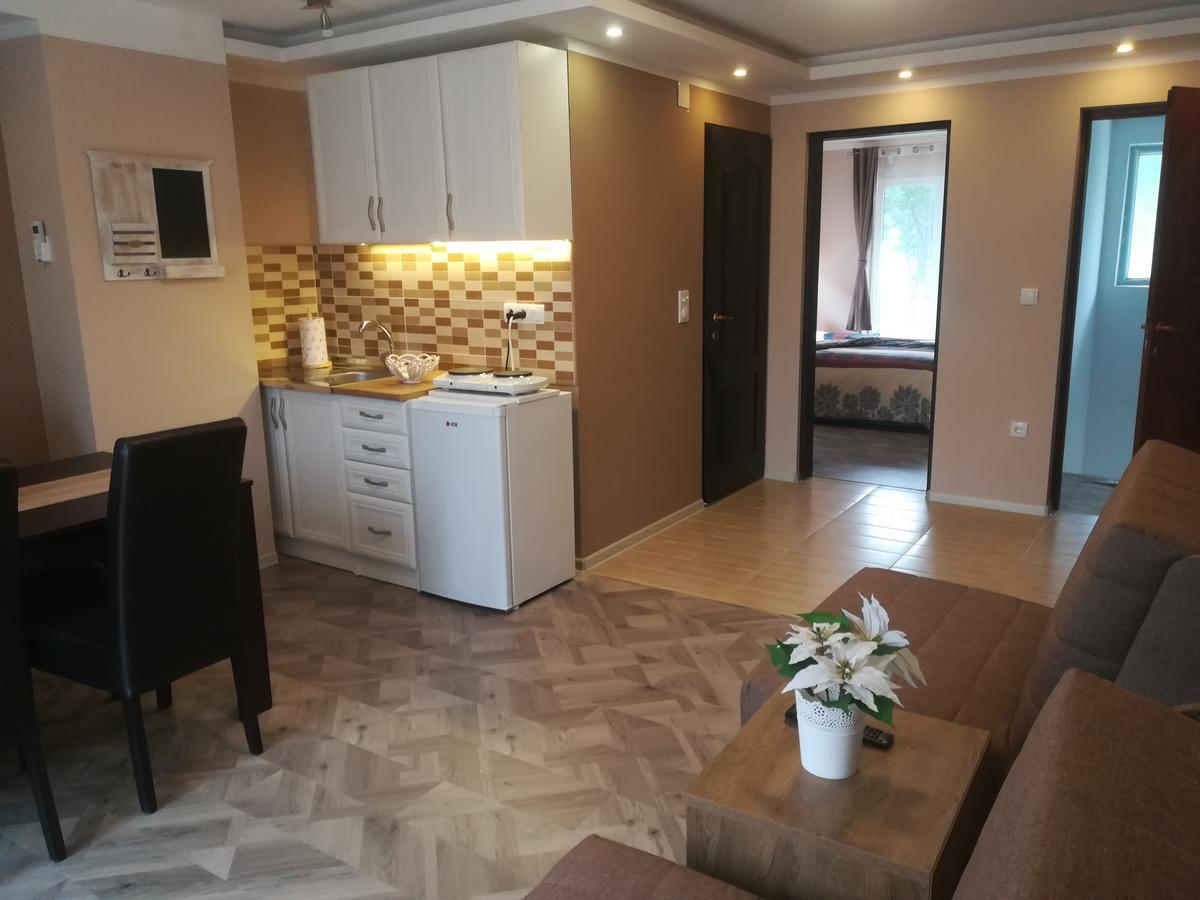Apartman Bogic Golubac Buitenkant foto